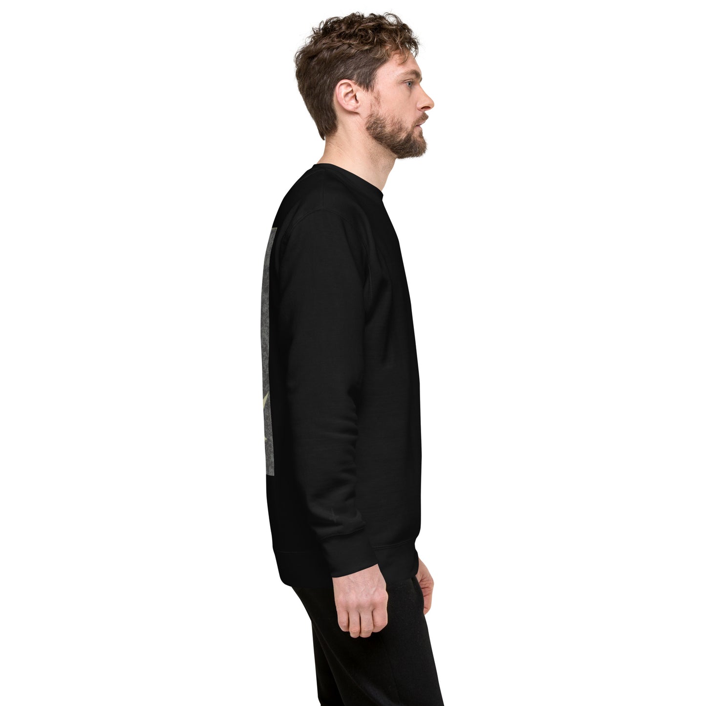 Airospace ver. 2 sweatshirt (2024 Edition)