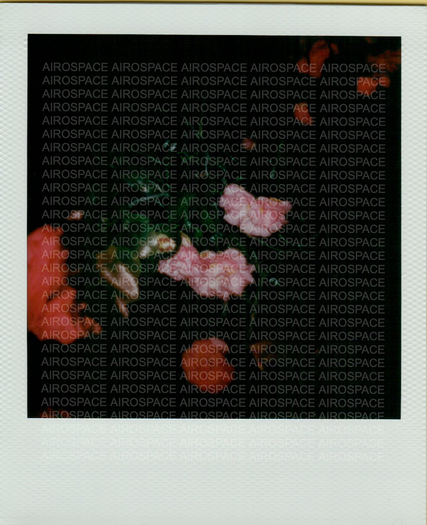 loveless