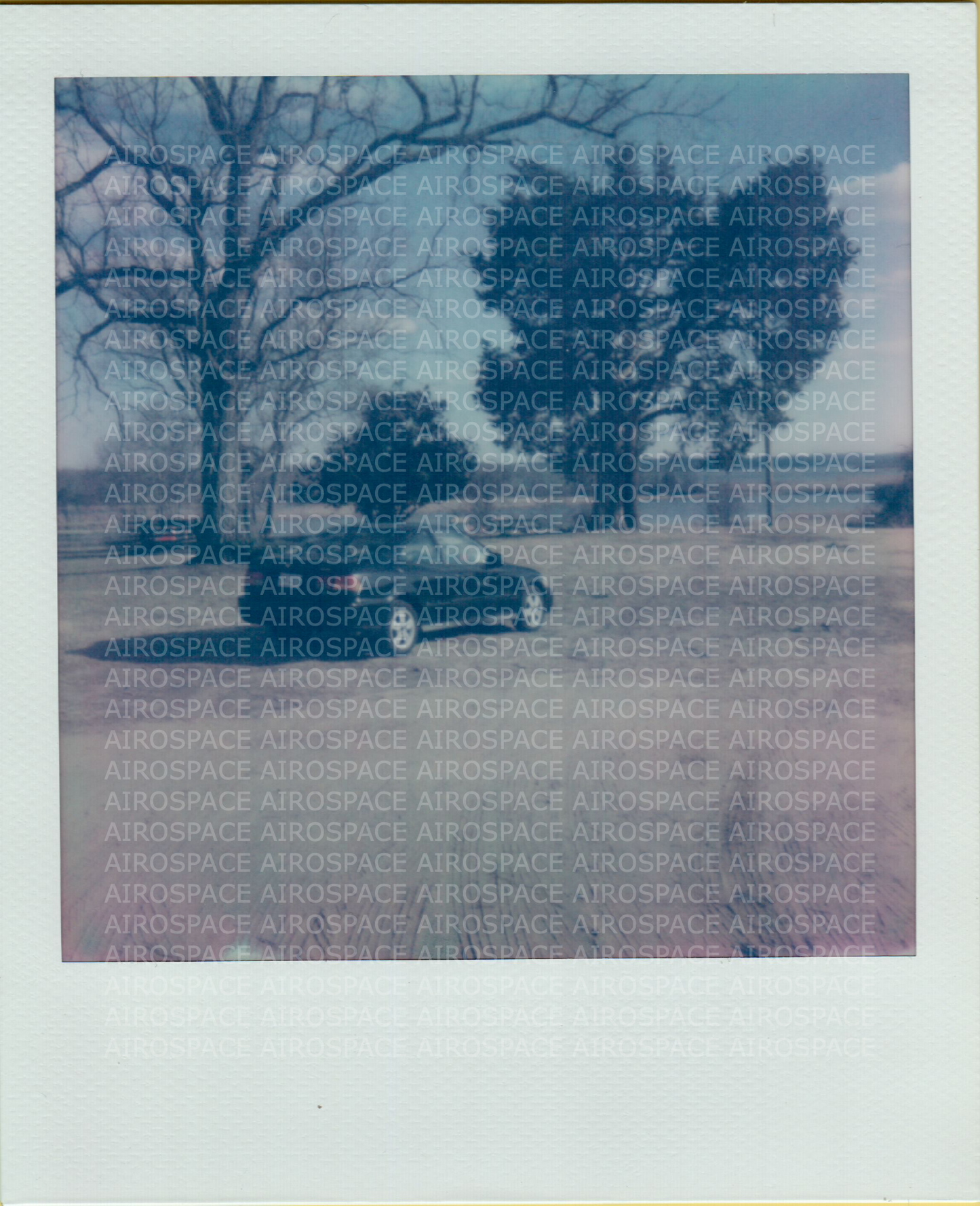 our little Honda