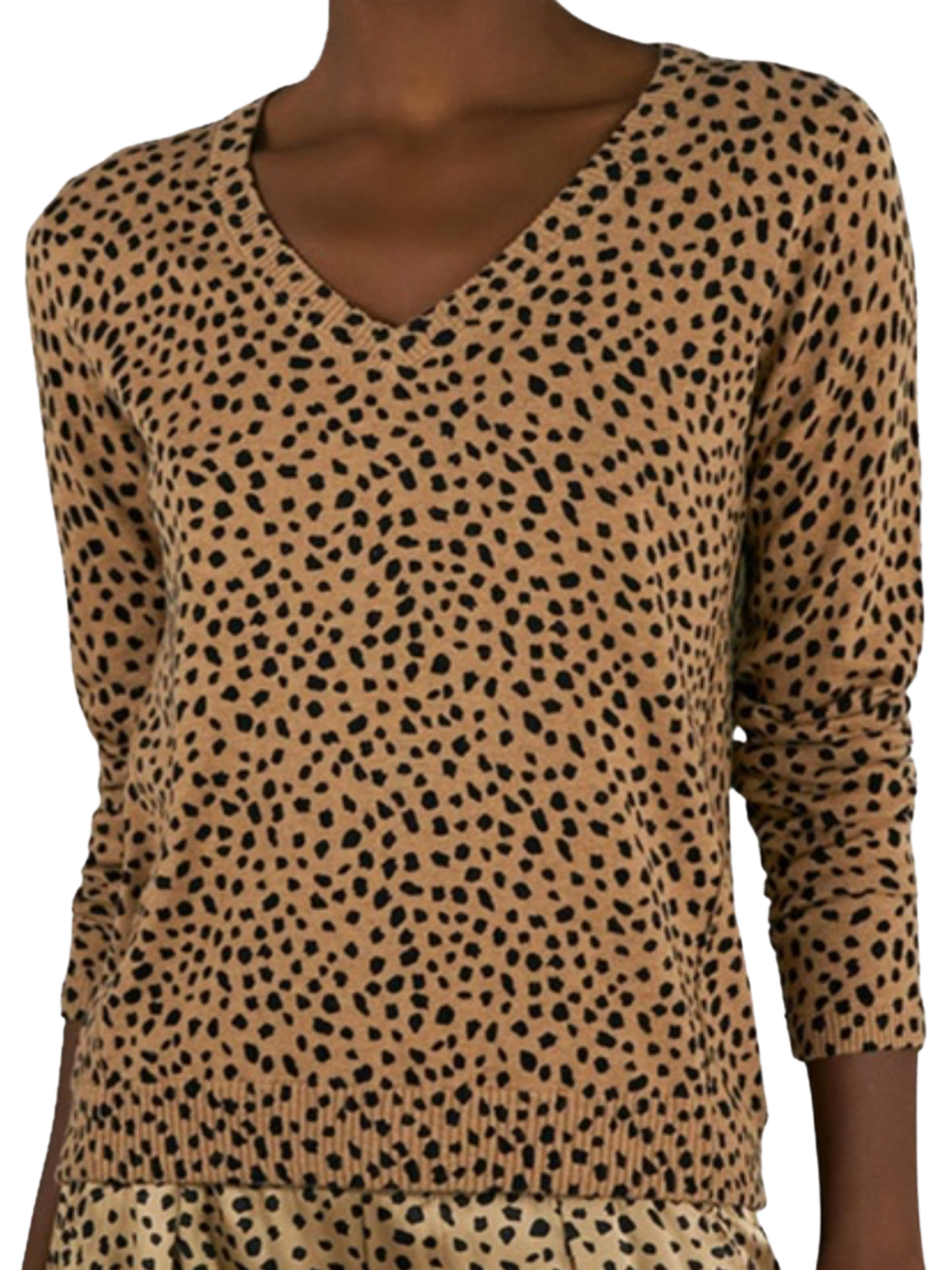 leopard knit sweater
